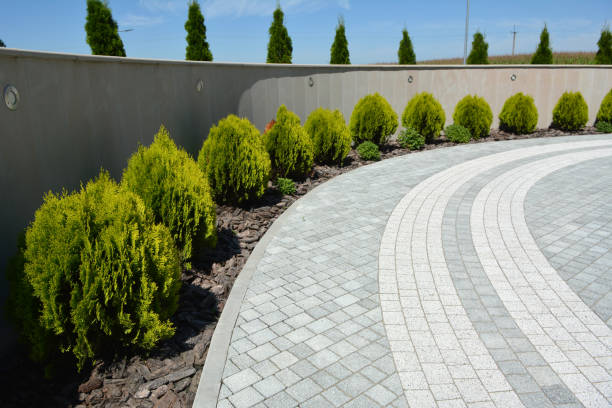 Best Driveway Paving Contractor  in Sutter Creek, CA